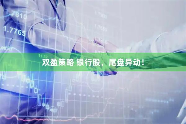 双盈策略 银行股，尾盘异动！