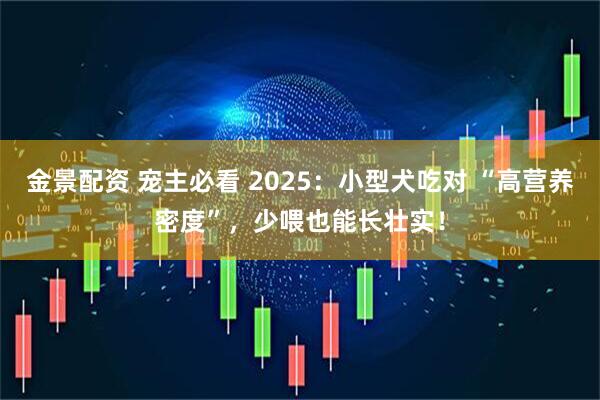 金景配资 宠主必看 2025：小型犬吃对 “高营养密度”，少喂也能长壮实！