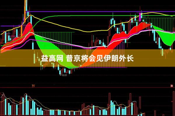 益高网 普京将会见伊朗外长